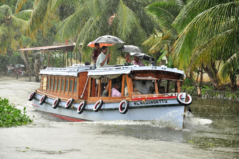Inde- Kerala - Bateau-bus - Voyages Personnalisés - Picture of Prince Tigereye